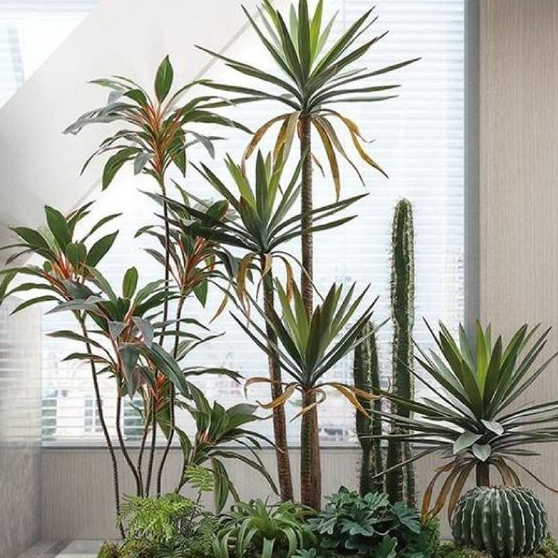 Artificial Dracaena