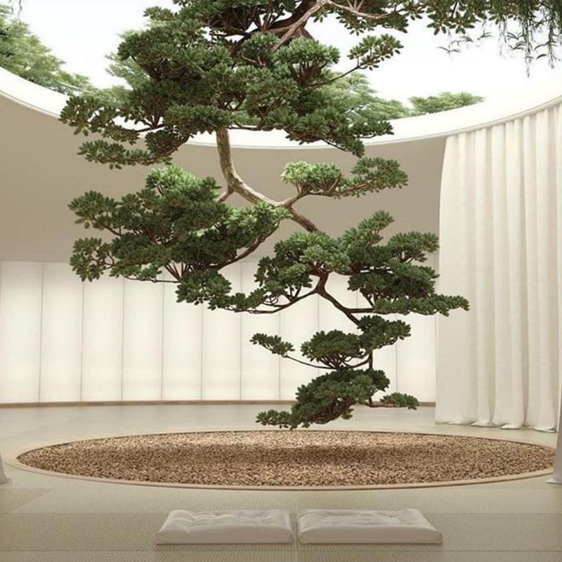 Welcoming Pine
