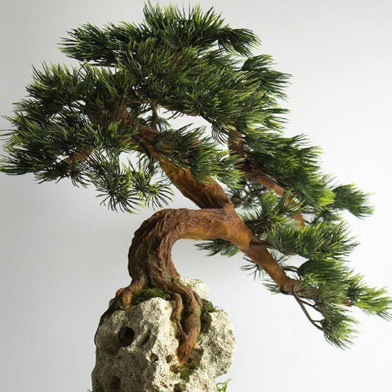 Simulated Luohansong